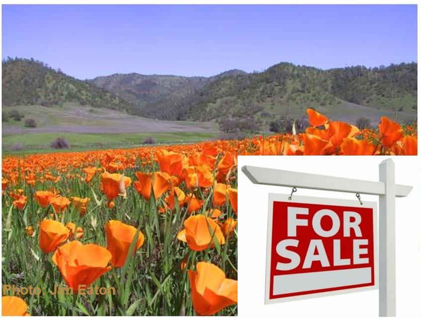 Action Alert June 2025